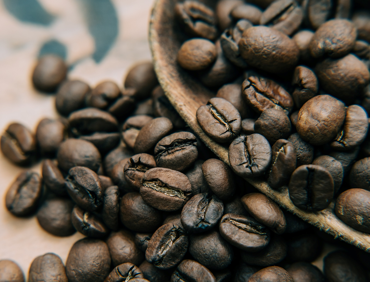 Café en grano natural - Tierra Madre comercio justo de Oxfam Intermón
