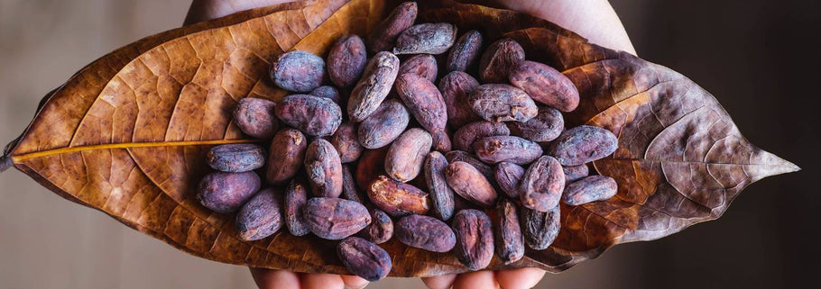 Celebremos el Día Internacional del Chocolate antes de que se extinga